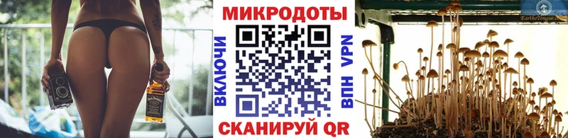 Псилоцибиновые грибы Magic Shrooms  Тырныауз 